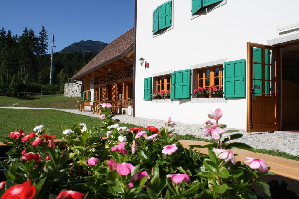 Hotel Aplis Ovaro Extérieur photo